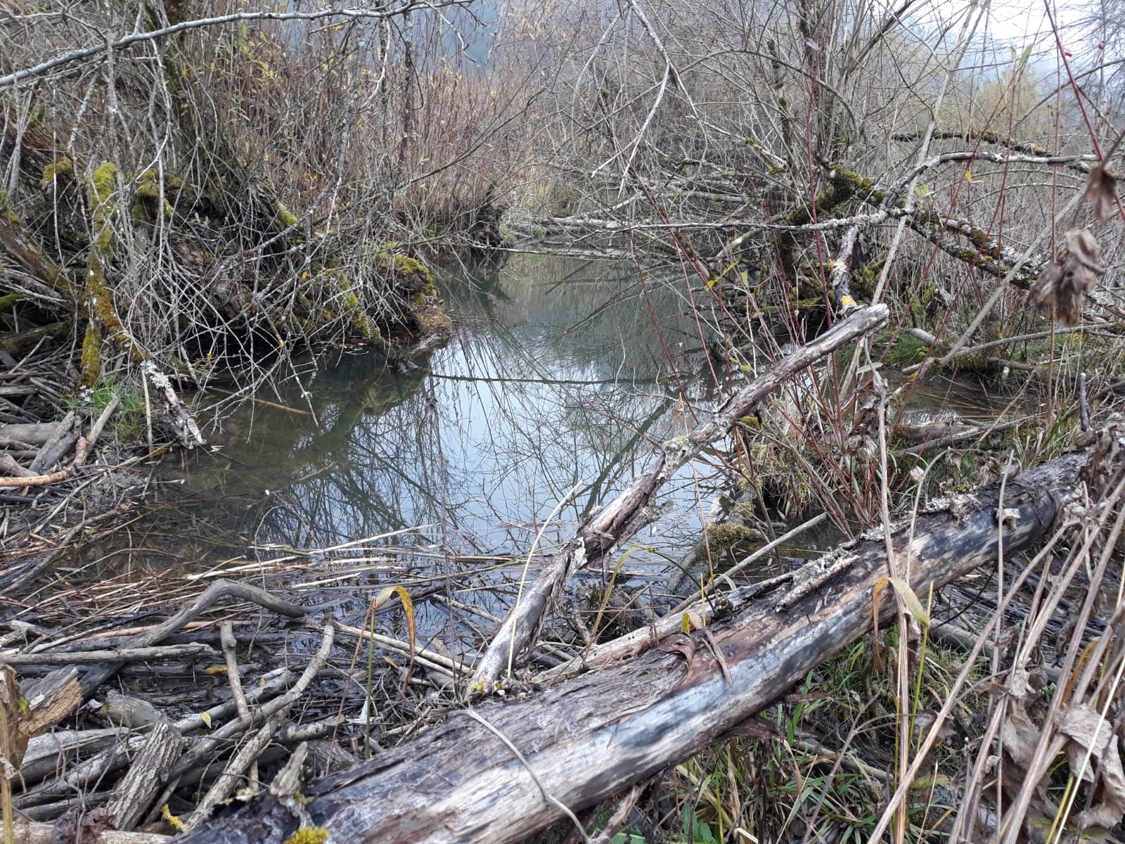 Galeriebild: WhatsApp Image 2022 06 05 at 16.58.32 (4)